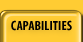 Our Capabilities